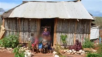 Actividades educativas 2